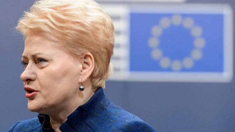 Литовският президент наложи вето на закон за ин витро процедурите