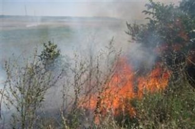 Пожар изпепели 10 декара сухи треви и храсти край Айрово