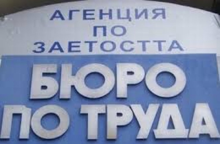 Над 230 работни места са обявени в Бюрото по труда