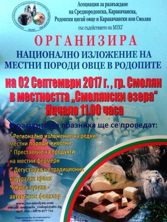 Показват редки породи овце на поляните край Смолянските езера