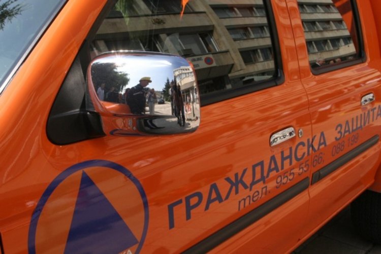 Паднали дървета от вятъра чистиха в района на Златоград
