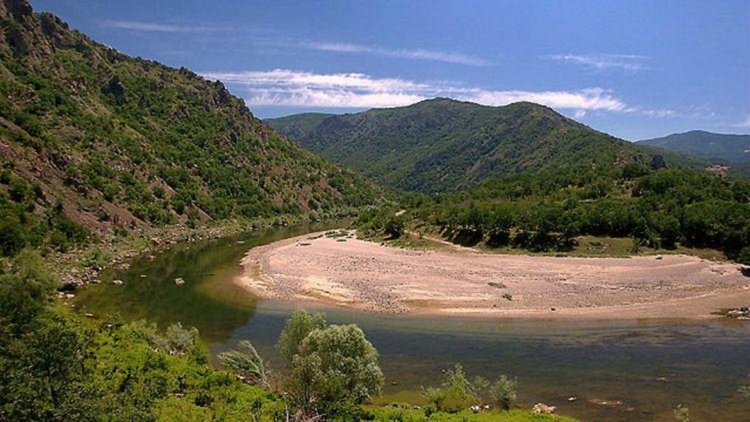 Спасиха двама мъже и шест деца, блокирани на остров в Арда