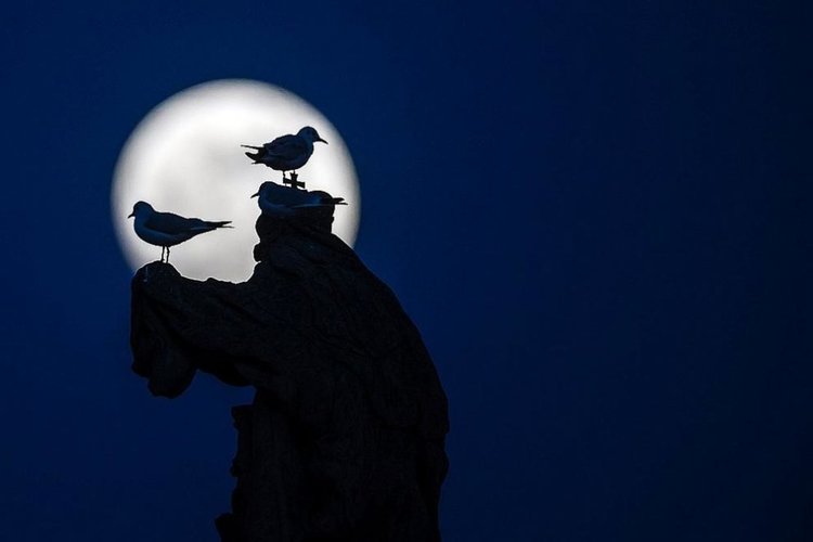  „Супер снежна луна“ блестя в небето тази нощ