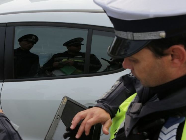 Завардиха Джебел за джигити, блъснаха крава в центъра на града