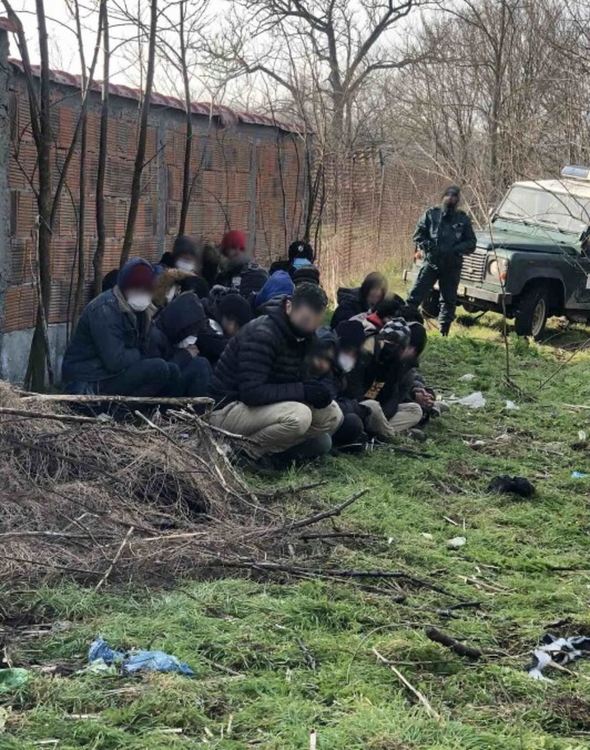 Четирима с обвинение за трафик на 24 афганистанци край Свиленград