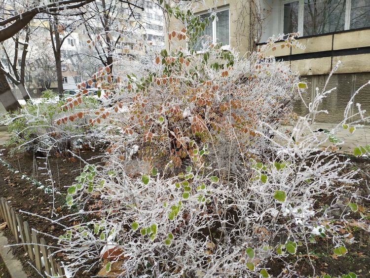 Студено и ветровито днес в Кърджали