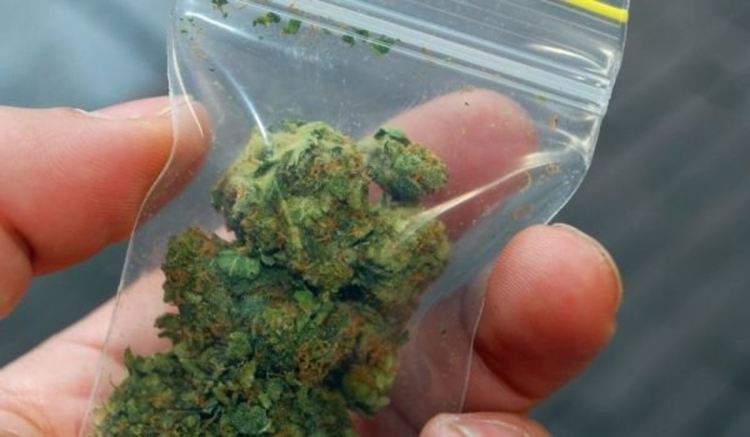 Заловиха наркоман с друга и апаши -гастрольори в Кърджали