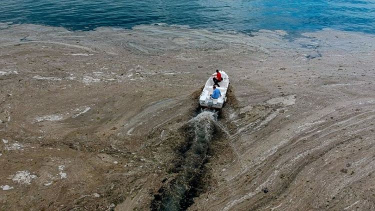 Морска слуз се появи и в района на гръцкия остров Лимнос