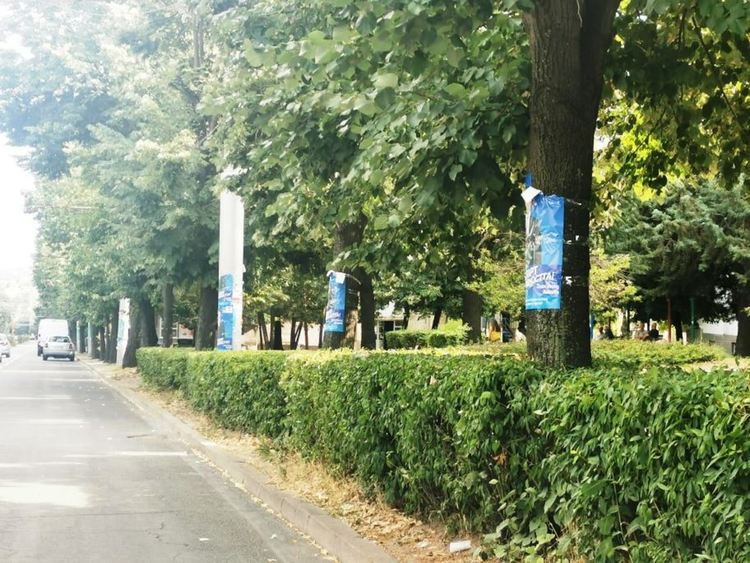 Глобиха хасковлия за поставяне на предизборни плакати по дървета