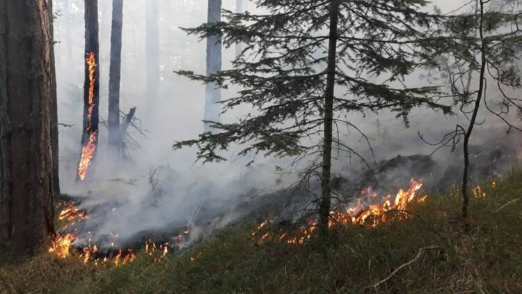 Пожарът над Югово се разраства, на пожарникарите помагат само "шепа" доброволци