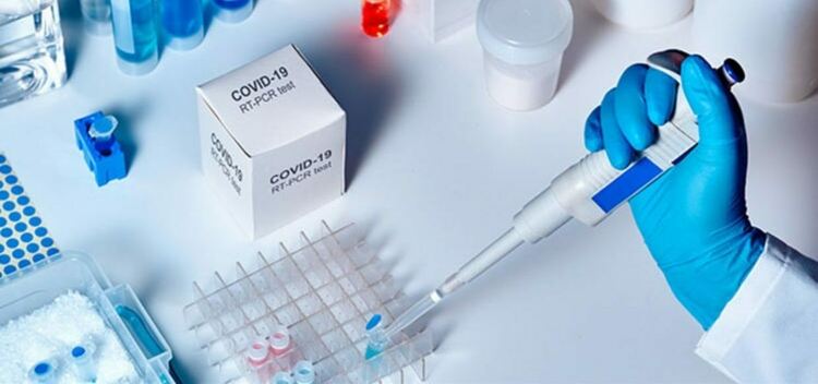 11 са починалите с COVID-19 в област Пловдив 
