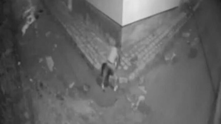 Убийство в Луковит. Охранителни камери заснели последните часове на момичето