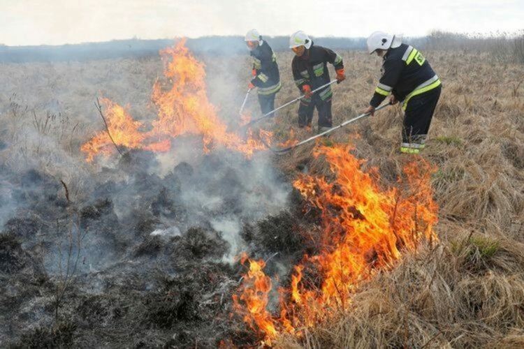 Горяха селскостопанска постройка и сеновал край Златоград
