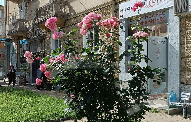   Слънчево и тихо днес в Кърджали