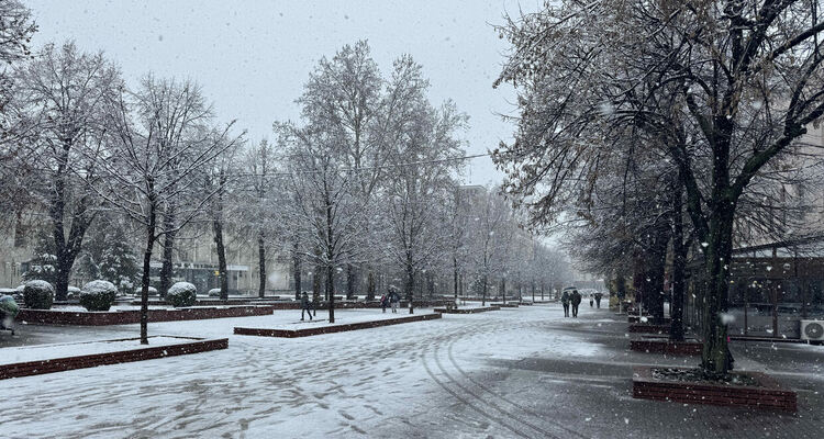Слънчево и студено