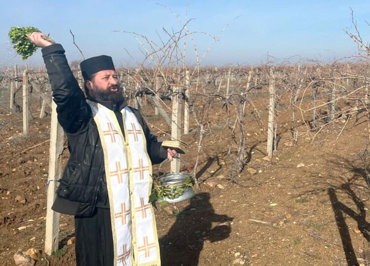 Зарязаха и благословиха лозята край Гарваново и Сусам