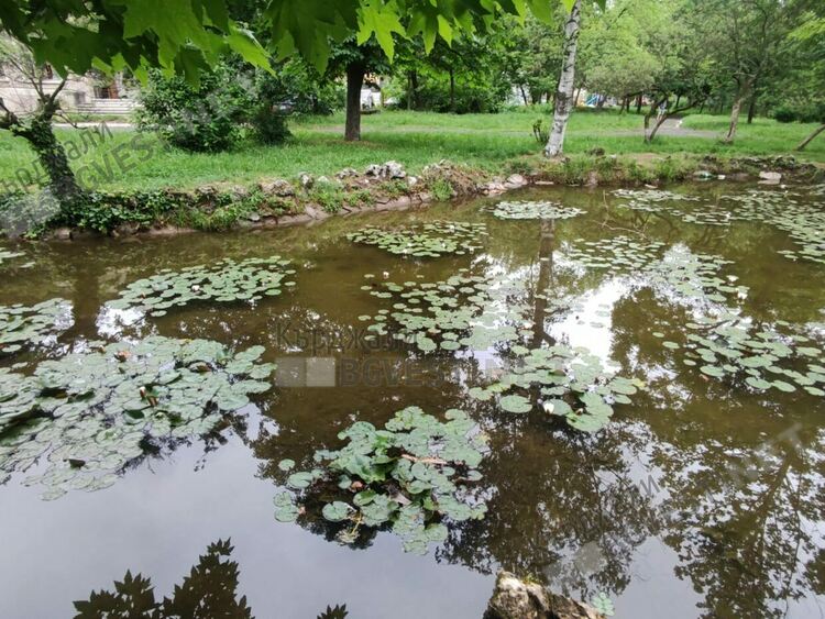 Слънчево и горещо днес в Кърджали